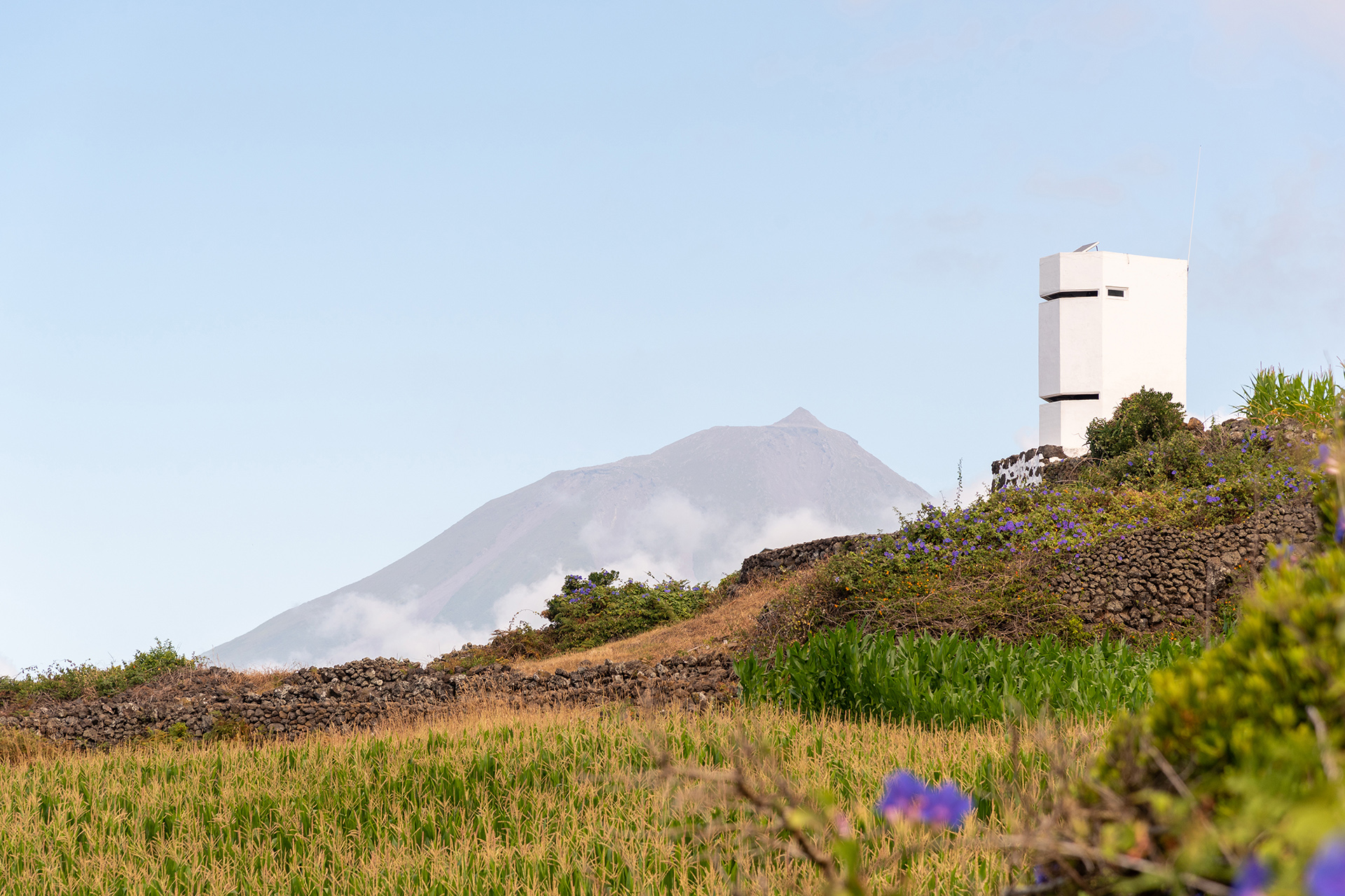Queimada Lookout Tower